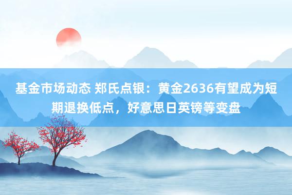 基金市场动态 郑氏点银：黄金2636有望成为短期退换低点，好意思日英镑等变盘