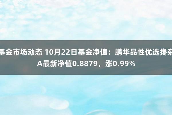 基金市场动态 10月22日基金净值：鹏华品性优选搀杂A最新净值0.8879，涨0.99%