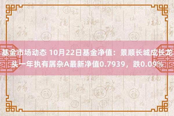 基金市场动态 10月22日基金净值：景顺长城成长龙头一年执有羼杂A最新净值0.7939，跌0.09%