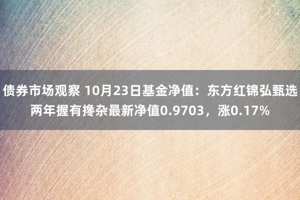 债券市场观察 10月23日基金净值：东方红锦弘甄选两年握有搀杂最新净值0.9703，涨0.17%