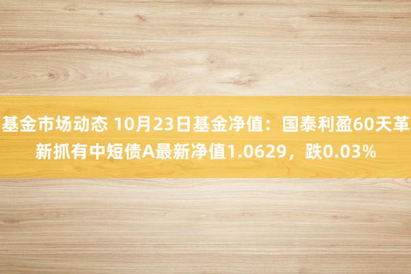 基金市场动态 10月23日基金净值：国泰利盈60天革新抓有中短债A最新净值1.0629，跌0.03%