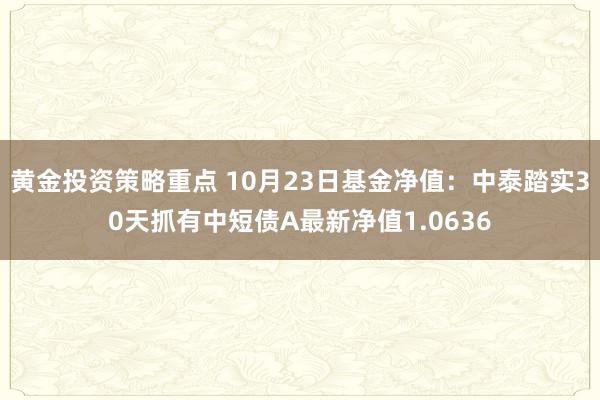 黄金投资策略重点 10月23日基金净值：中泰踏实30天抓有中短债A最新净值1.0636