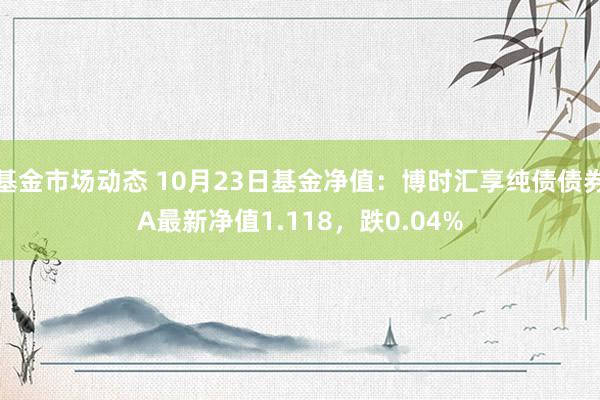 基金市场动态 10月23日基金净值：博时汇享纯债债券A最新净值1.118，跌0.04%