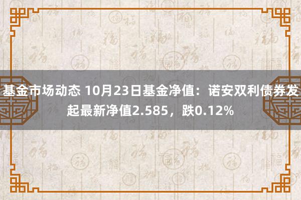 基金市场动态 10月23日基金净值：诺安双利债券发起最新净值2.585，跌0.12%