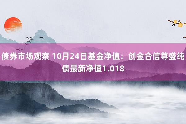 债券市场观察 10月24日基金净值：创金合信尊盛纯债最新净值1.018