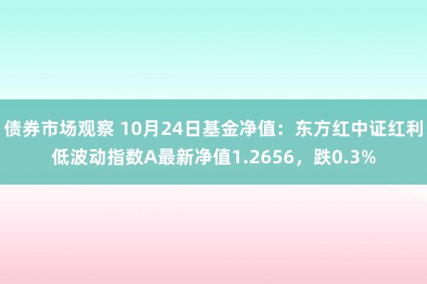 债券市场观察 10月24日基金净值：东方红中证红利低波动指数A最新净值1.2656，跌0.3%