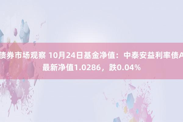 债券市场观察 10月24日基金净值：中泰安益利率债A最新净值1.0286，跌0.04%