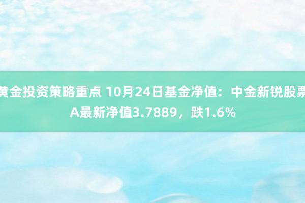 黄金投资策略重点 10月24日基金净值：中金新锐股票A最新净值3.7889，跌1.6%