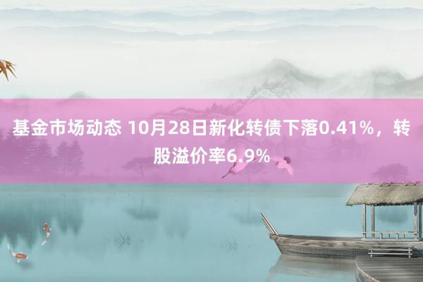 基金市场动态 10月28日新化转债下落0.41%，转股溢价率6.9%