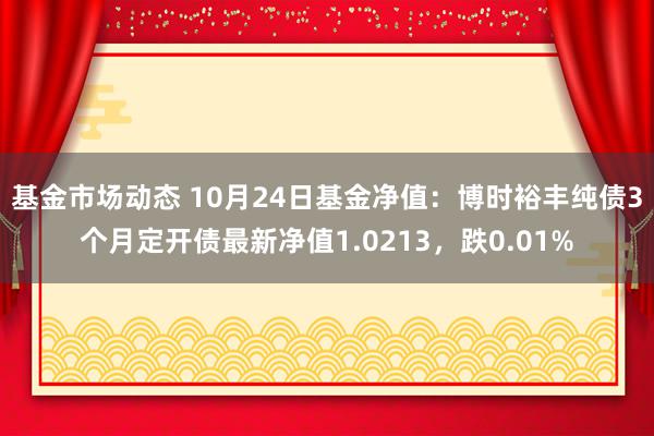 基金市场动态 10月24日基金净值：博时裕丰纯债3个月定开债最新净值1.0213，跌0.01%