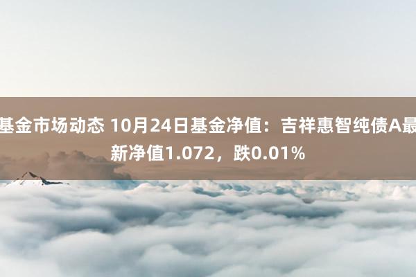 基金市场动态 10月24日基金净值：吉祥惠智纯债A最新净值1.072，跌0.01%