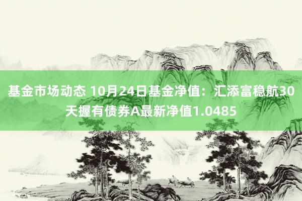 基金市场动态 10月24日基金净值：汇添富稳航30天握有债券A最新净值1.0485