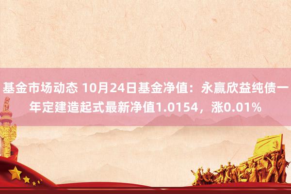 基金市场动态 10月24日基金净值：永赢欣益纯债一年定建造起式最新净值1.0154，涨0.01%