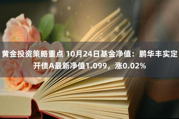 黄金投资策略重点 10月24日基金净值：鹏华丰实定开债A最新净值1.099，涨0.02%