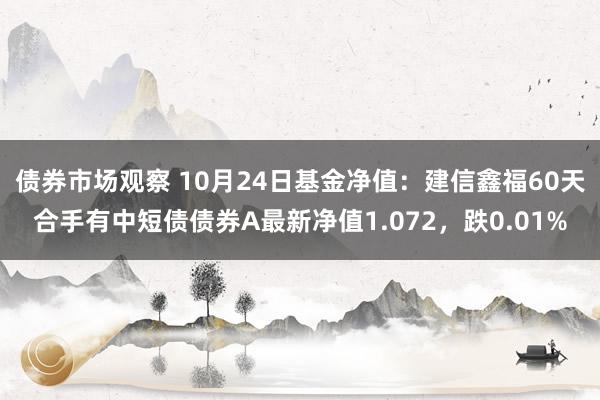 债券市场观察 10月24日基金净值：建信鑫福60天合手有中短债债券A最新净值1.072，跌0.01%