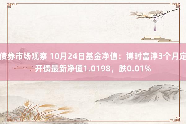 债券市场观察 10月24日基金净值：博时富淳3个月定开债最新净值1.0198，跌0.01%