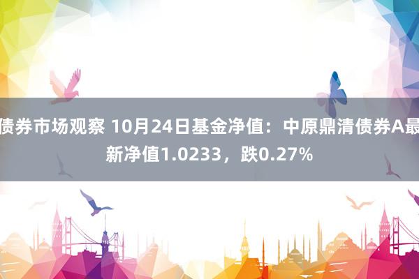 债券市场观察 10月24日基金净值：中原鼎清债券A最新净值1.0233，跌0.27%