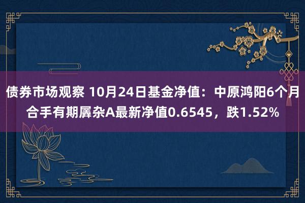 债券市场观察 10月24日基金净值：中原鸿阳6个月合手有期羼杂A最新净值0.6545，跌1.52%