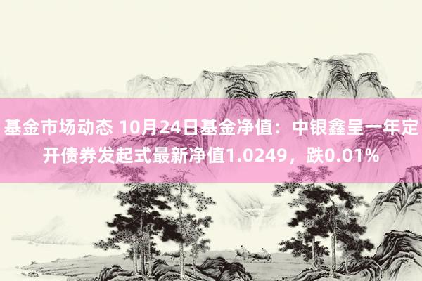 基金市场动态 10月24日基金净值：中银鑫呈一年定开债券发起式最新净值1.0249，跌0.01%