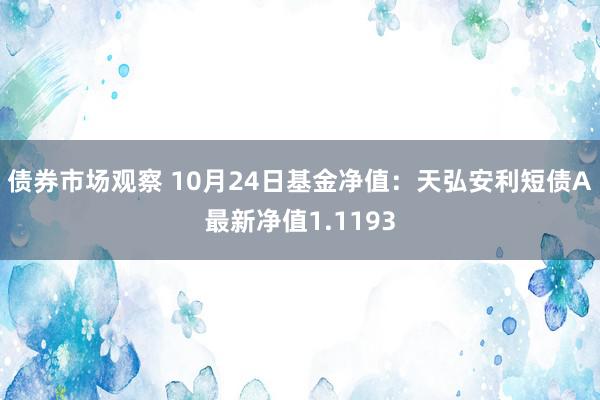 债券市场观察 10月24日基金净值：天弘安利短债A最新净值1.1193