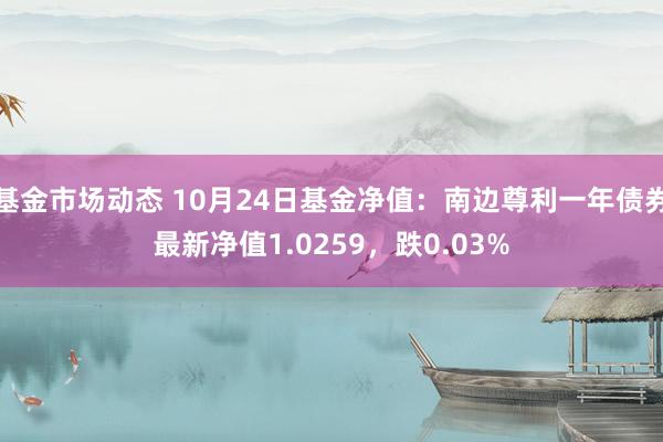 基金市场动态 10月24日基金净值：南边尊利一年债券最新净值1.0259，跌0.03%