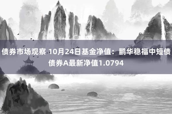 债券市场观察 10月24日基金净值：鹏华稳福中短债债券A最新净值1.0794