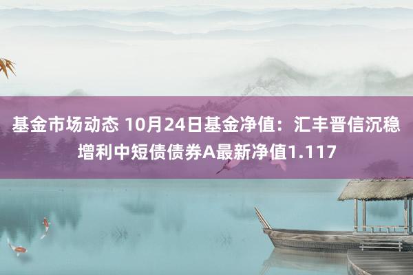 基金市场动态 10月24日基金净值：汇丰晋信沉稳增利中短债债券A最新净值1.117