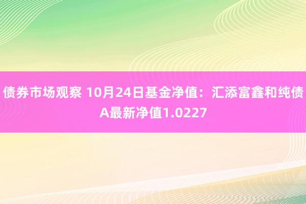 债券市场观察 10月24日基金净值：汇添富鑫和纯债A最新净值1.0227