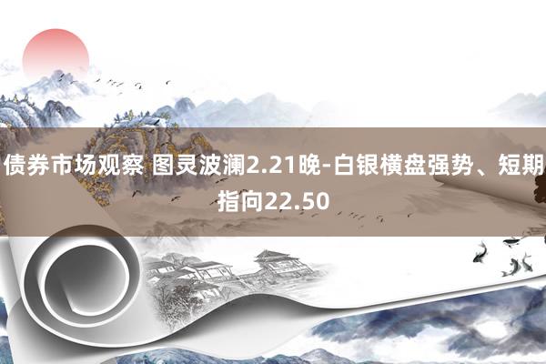 债券市场观察 图灵波澜2.21晚-白银横盘强势、短期指向22.50