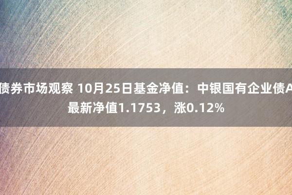 债券市场观察 10月25日基金净值：中银国有企业债A最新净值1.1753，涨0.12%