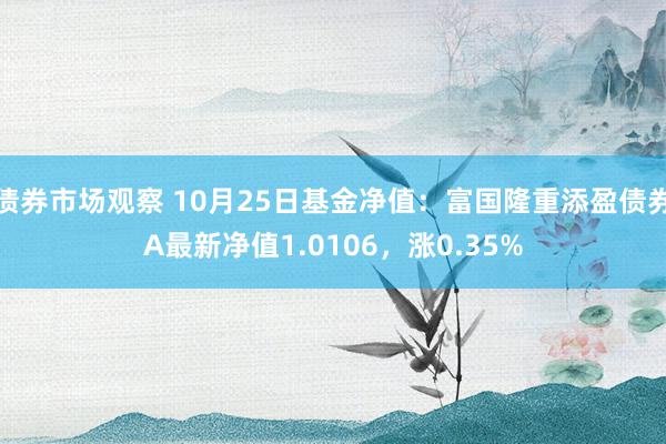 债券市场观察 10月25日基金净值：富国隆重添盈债券A最新净值1.0106，涨0.35%