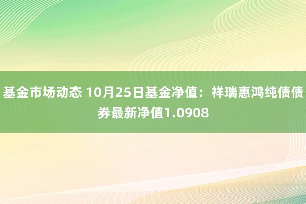 基金市场动态 10月25日基金净值：祥瑞惠鸿纯债债券最新净值1.0908