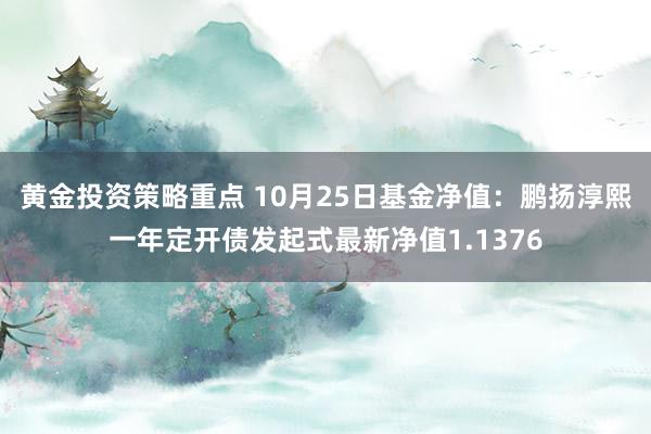 黄金投资策略重点 10月25日基金净值：鹏扬淳熙一年定开债发起式最新净值1.1376