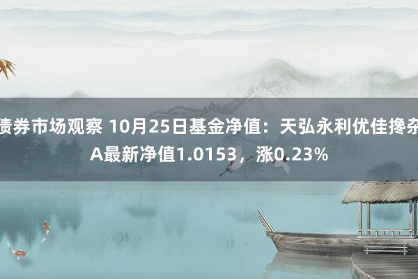 债券市场观察 10月25日基金净值：天弘永利优佳搀杂A最新净值1.0153，涨0.23%