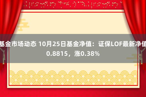 基金市场动态 10月25日基金净值：证保LOF最新净值0.8815，涨0.38%