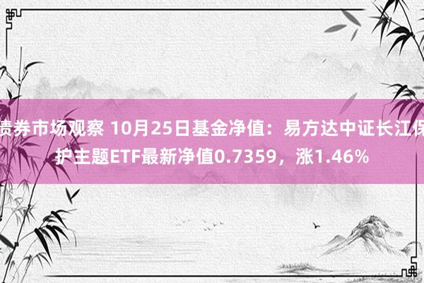 债券市场观察 10月25日基金净值：易方达中证长江保护主题ETF最新净值0.7359，涨1.46%