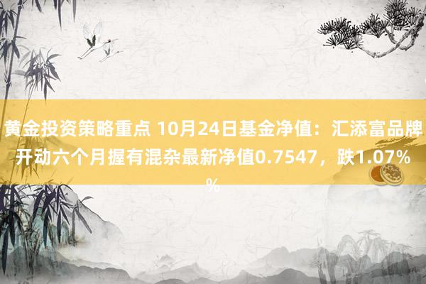 黄金投资策略重点 10月24日基金净值：汇添富品牌开动六个月握有混杂最新净值0.7547，跌1.07%