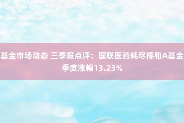 基金市场动态 三季报点评：国联医药耗尽搀和A基金季度涨幅13.23%