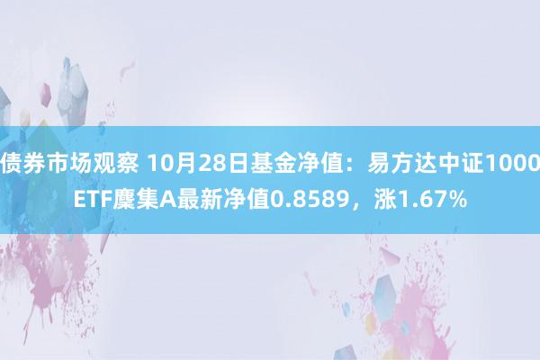 债券市场观察 10月28日基金净值：易方达中证1000ETF麇集A最新净值0.8589，涨1.67%