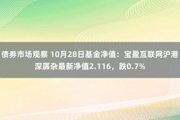 债券市场观察 10月28日基金净值：宝盈互联网沪港深羼杂最新净值2.116，跌0.7%