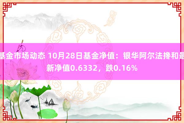 基金市场动态 10月28日基金净值：银华阿尔法搀和最新净值0.6332，跌0.16%