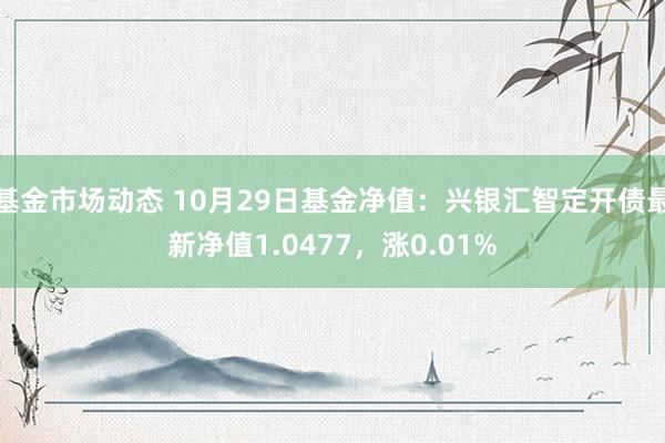 基金市场动态 10月29日基金净值：兴银汇智定开债最新净值1.0477，涨0.01%