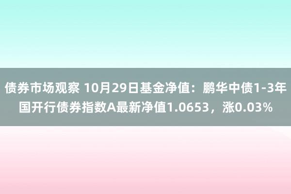 债券市场观察 10月29日基金净值：鹏华中债1-3年国开行债券指数A最新净值1.0653，涨0.03%