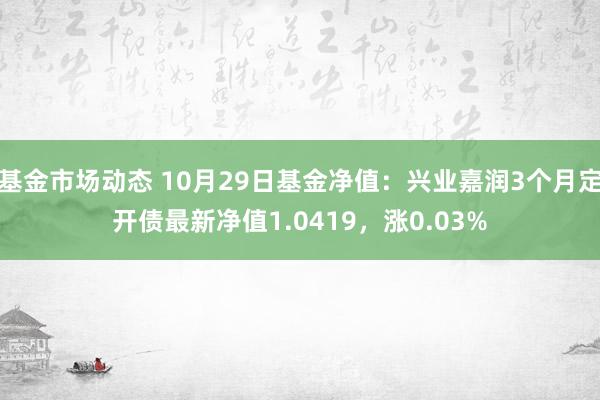 基金市场动态 10月29日基金净值：兴业嘉润3个月定开债最新净值1.0419，涨0.03%