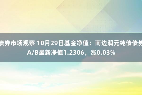 债券市场观察 10月29日基金净值：南边润元纯债债券A/B最新净值1.2306，涨0.03%