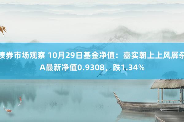 债券市场观察 10月29日基金净值：嘉实朝上上风羼杂A最新净值0.9308，跌1.34%