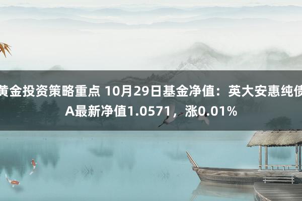 黄金投资策略重点 10月29日基金净值：英大安惠纯债A最新净值1.0571，涨0.01%