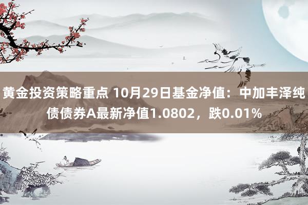 黄金投资策略重点 10月29日基金净值：中加丰泽纯债债券A最新净值1.0802，跌0.01%