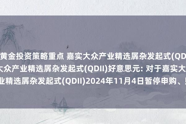 黄金投资策略重点 嘉实大众产业精选羼杂发起式(QDII)东说念主民币,嘉实大众产业精选羼杂发起式(QDII)好意思元: 对于嘉实大众产业精选羼杂发起式(QDII)2024年11月4日暂停申购、赎回及依期定额投资业务的公告