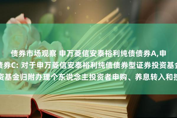 债券市场观察 申万菱信安泰裕利纯债债券A,申万菱信安泰裕利纯债债券C: 对于申万菱信安泰裕利纯债债券型证券投资基金归附办理个东说念主投资者申购、养息转入和按期定额投资业务的公告